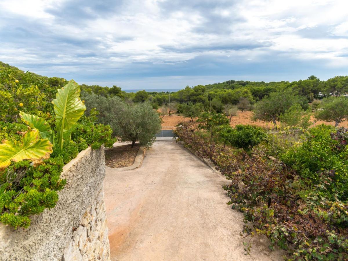 Holiday Home Can Pep Jaume By Interhome Es Cana エクステリア 写真